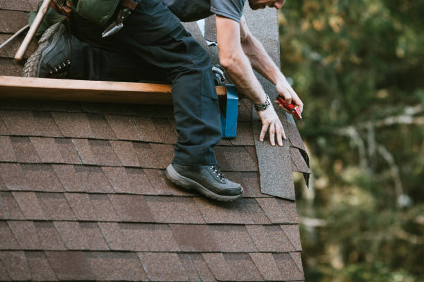 Best Chimney Flashing Repair  in Leo Cedarville, IN